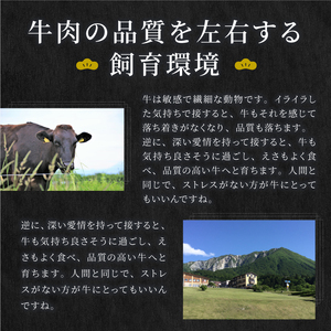 HA-02　肉質日本一の和牛「大山黒牛」切り落し１kg