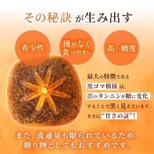 先行予約！  紀の川柿 （果実の中身が黒い！黒蜜柿）希少栽培！ 秀品６個～９個  こだわり農家厳選！【※2026年10月上旬から11月上旬頃発送】/ 和歌山県 かつらぎ町 カキ 柿 太秋柿 紀ノ川柿 富有柿 早秋柿 秀品 紀の川柿 かき フルーツ 旬 秋【BK-kgr044】