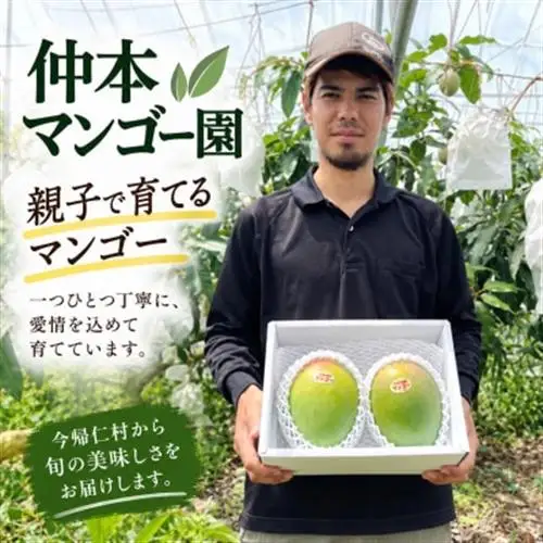 【発送月固定定期便】家庭用マンゴー2種食べ比べ(アップルマンゴー＆キーツマンゴー)全2回【配送不可地域：離島】【4074843】