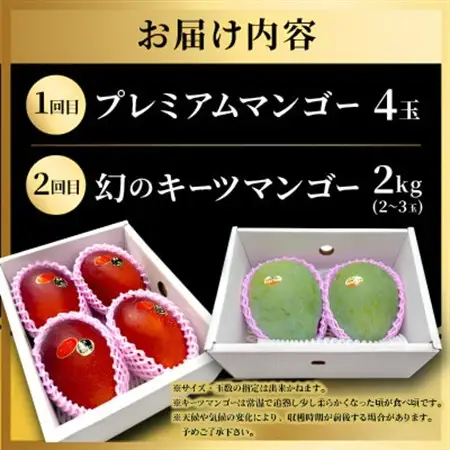 【発送月固定定期便】2027年発送 JAおきなわ厳選のプレミアムフルーツ定期便全2回【配送不可地域：離島】【4077040】