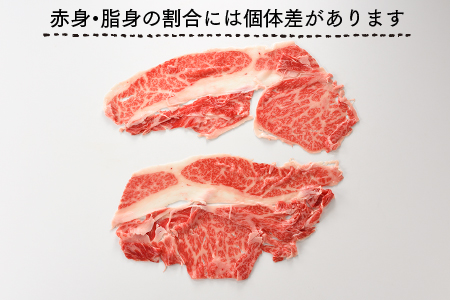 F051.A5ランク博多和牛しゃぶしゃぶ800g