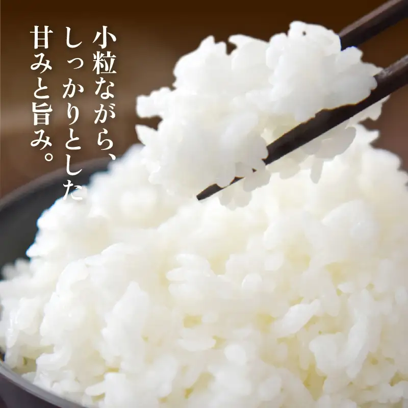 【先行予約】定期便 ≪6ヶ月≫  令和8年産 生活応援米5kg × 6回【白米】【10月中旬以降順次】 [e81-e001_01]