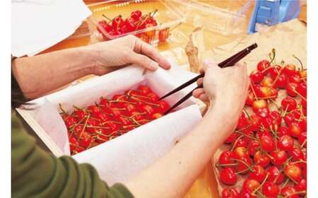 《先行予約》2027年産 山形県産 特選やまがた紅王 桐箱詰約1.1kg やまのべ多田耕太郎のさくらんぼ tn-ybxxk1100