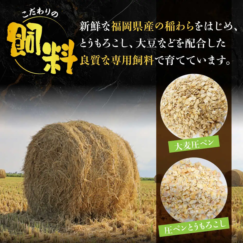 博多和牛 ハンバーグ140g×5個入り [VET011]牛肉 肉 おすすめ 人気