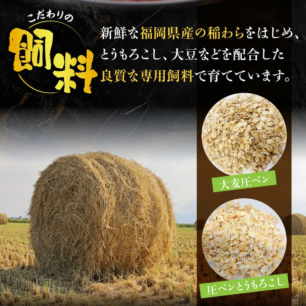 【全3回定期便】博多和牛 モモ 焼肉用 400g【8月発送開始】[VET016]牛肉 肉 おすすめ 人気