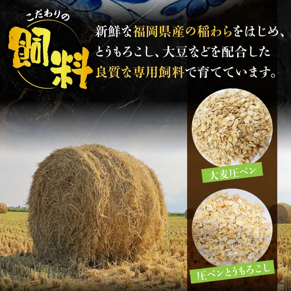 【全3回定期便】博多和牛 切り落とし 500g 【2月発送開始】[VET027] 牛肉 肉 おすすめ 人気