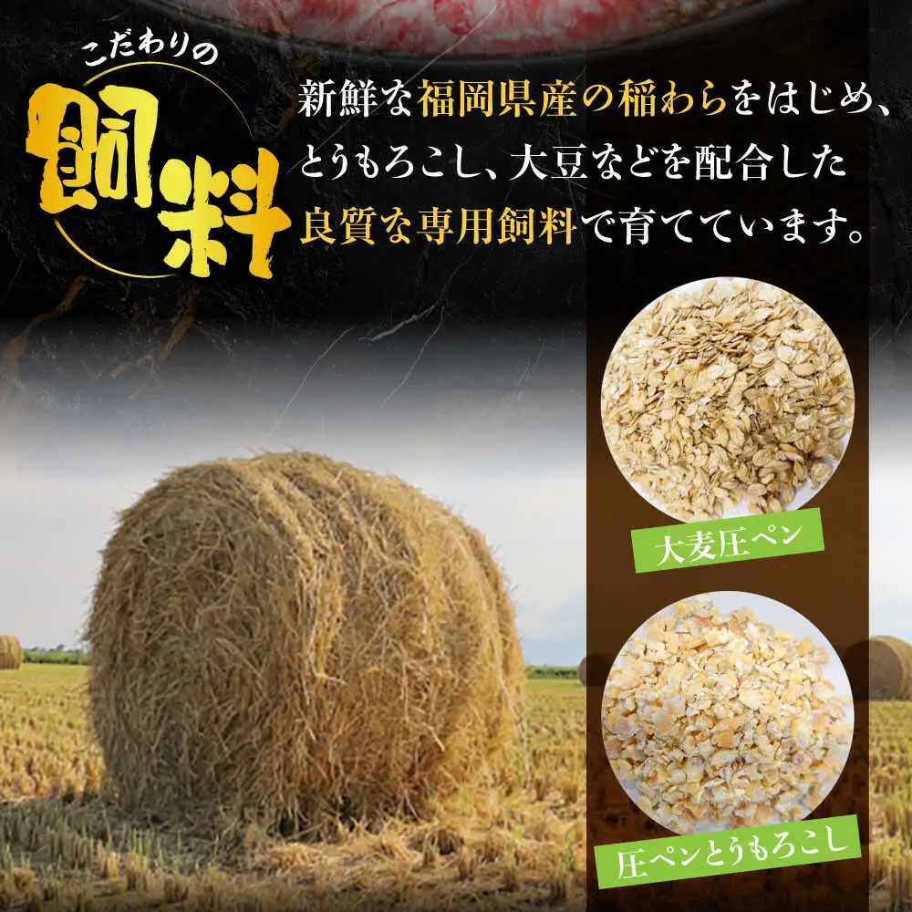 【全3回定期便】博多和牛 肩ロース スライス 400g 【2月発送開始】[VET029] 牛肉 肉 おすすめ 人気