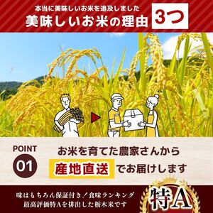 令和8年度産 先行予約 こしひかり 白米 約4kg