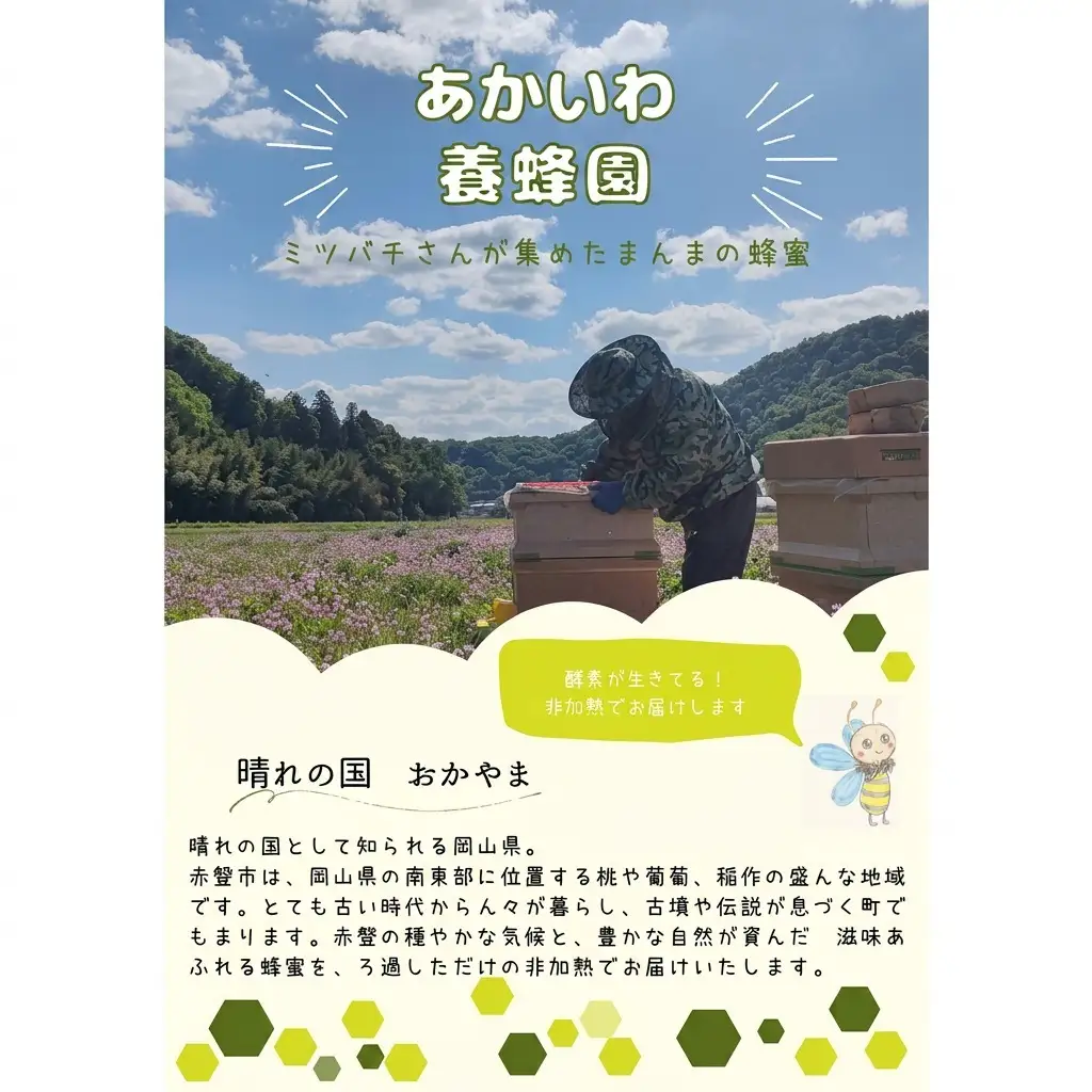 はちみつ 蓮華蜂蜜 天然 非加熱 はちみつ【300g×2個】