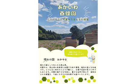 はちみつ 蓮華蜂蜜・百花蜂蜜 天然 非加熱 はちみつ【300g×各1個計2個】
