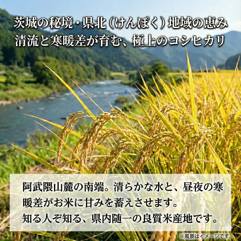 【令和７年産】特選こしひかり　「常陸の恵」５kg 【 お米 五ツ星 お米マイスター HACCP 取得 低温精米 高品質 ご飯 美味しい米 ブランド米 特産物 あさや米穀 茨城県 日立市 】
