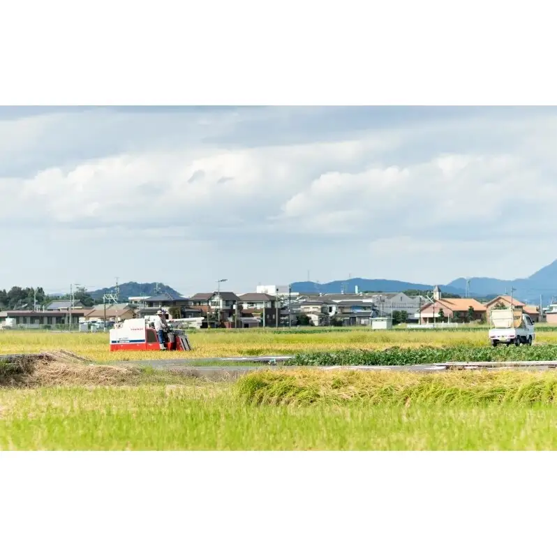 明太子 和え物セット (いか明太・数の子明太) めんたいこ