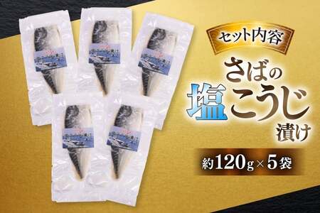 鯖 さば 漬け魚 漬魚 塩麹 塩こうじ 冷凍 魚 切り身 サバの塩こうじ漬け 5袋 (約120g/袋)