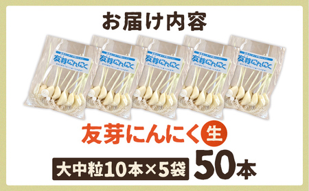 友芽にんにく 予約受付 生 50本 にんにく ガーリック ニンニク 国産 スプラウト 発芽 おつまみ 料理 栄養豊富 丸ごと 臭い におい ニオイ 福岡県 福岡 九州 グルメ お取り寄せ メール便（ポスト投函） 【11月～3月発送予定】