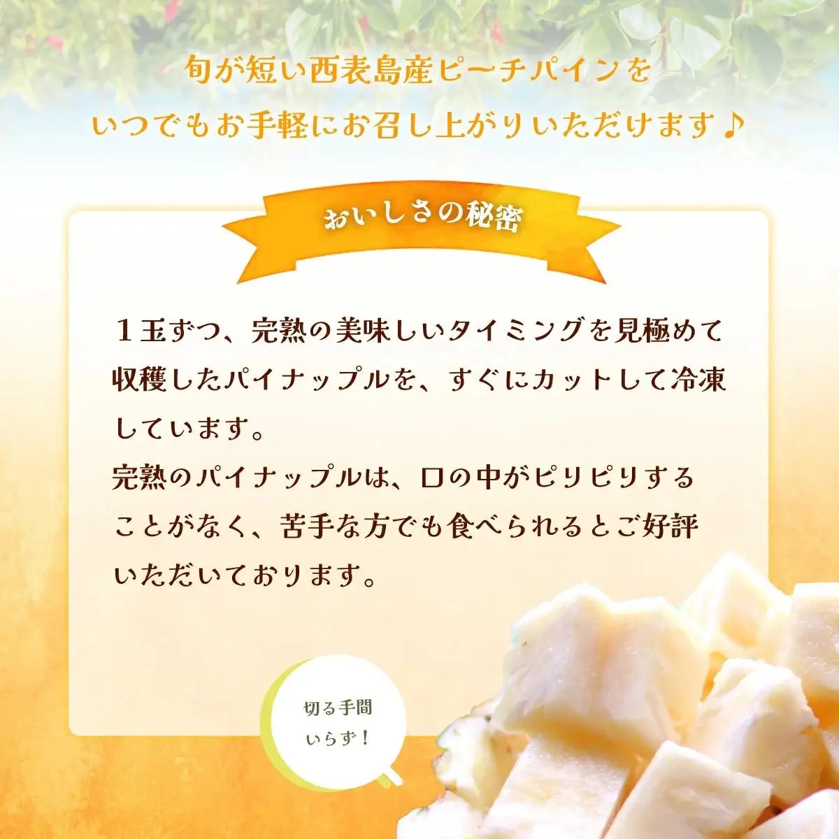 西表島の完熟ピーチパイン4.8kg(400g×12袋)　
