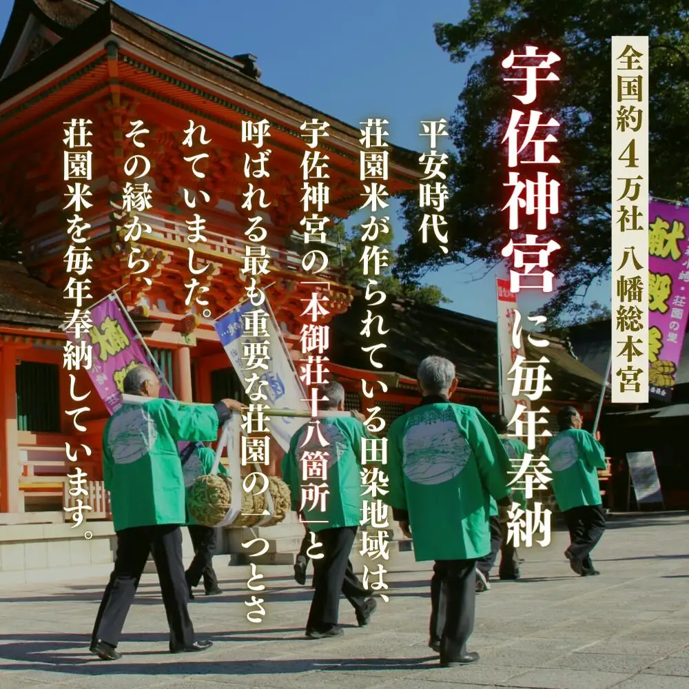  ヒノヒカリ 荘園米 10kg (精米) ひのひかり 
