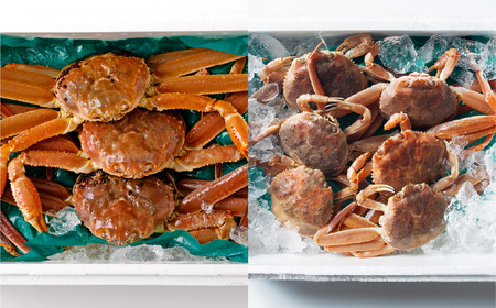 【1月～3月発送】【訳あり】生本ズワイガニ夫婦セット（雄約2kg＋セコガニ約1kg）1079006