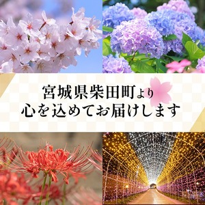 【令和7年産】しばたのササニシキ 精米 5kg 柴田町産 お米 おこめ 米 コメ 白米 ご飯 ごはん おにぎり お弁当 ささにしき【しばたの未来株式会社】sh138