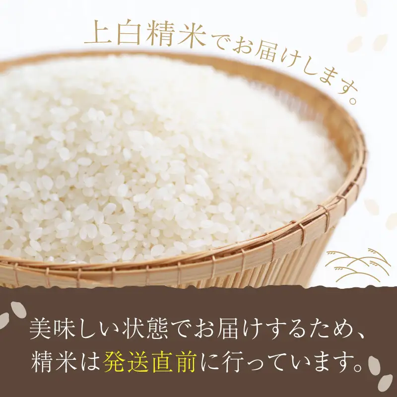 【定期便6回】令和8年産 丹後こしひかり 3kg×6ヵ月 1等米