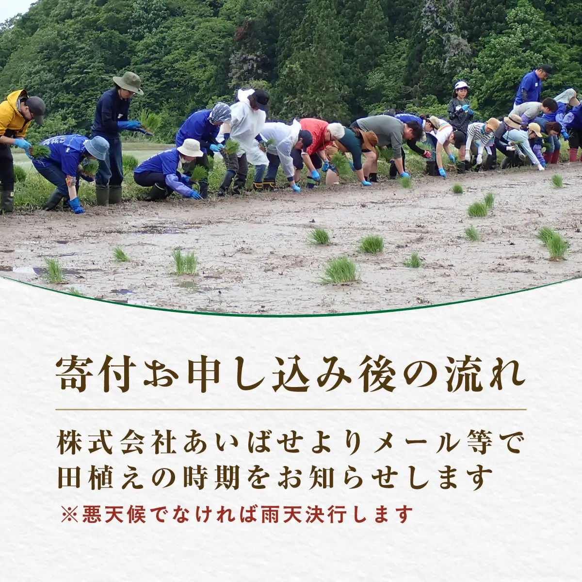 北塩原村川前棚田　田植え体験 KBAH002
