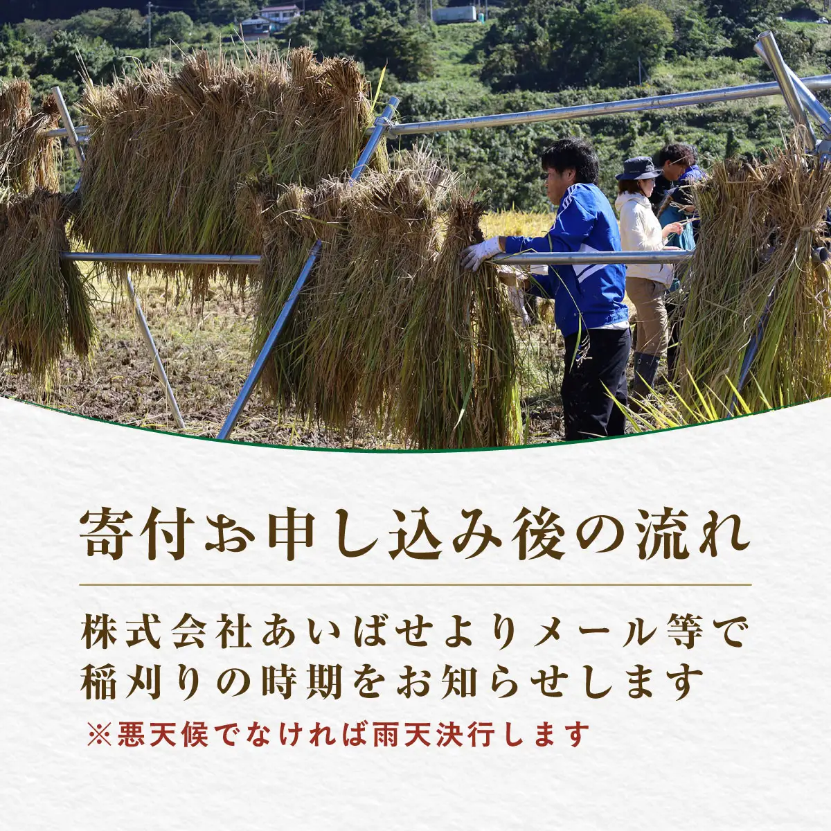 北塩原村川前棚田　稲刈り体験 KBAH003
