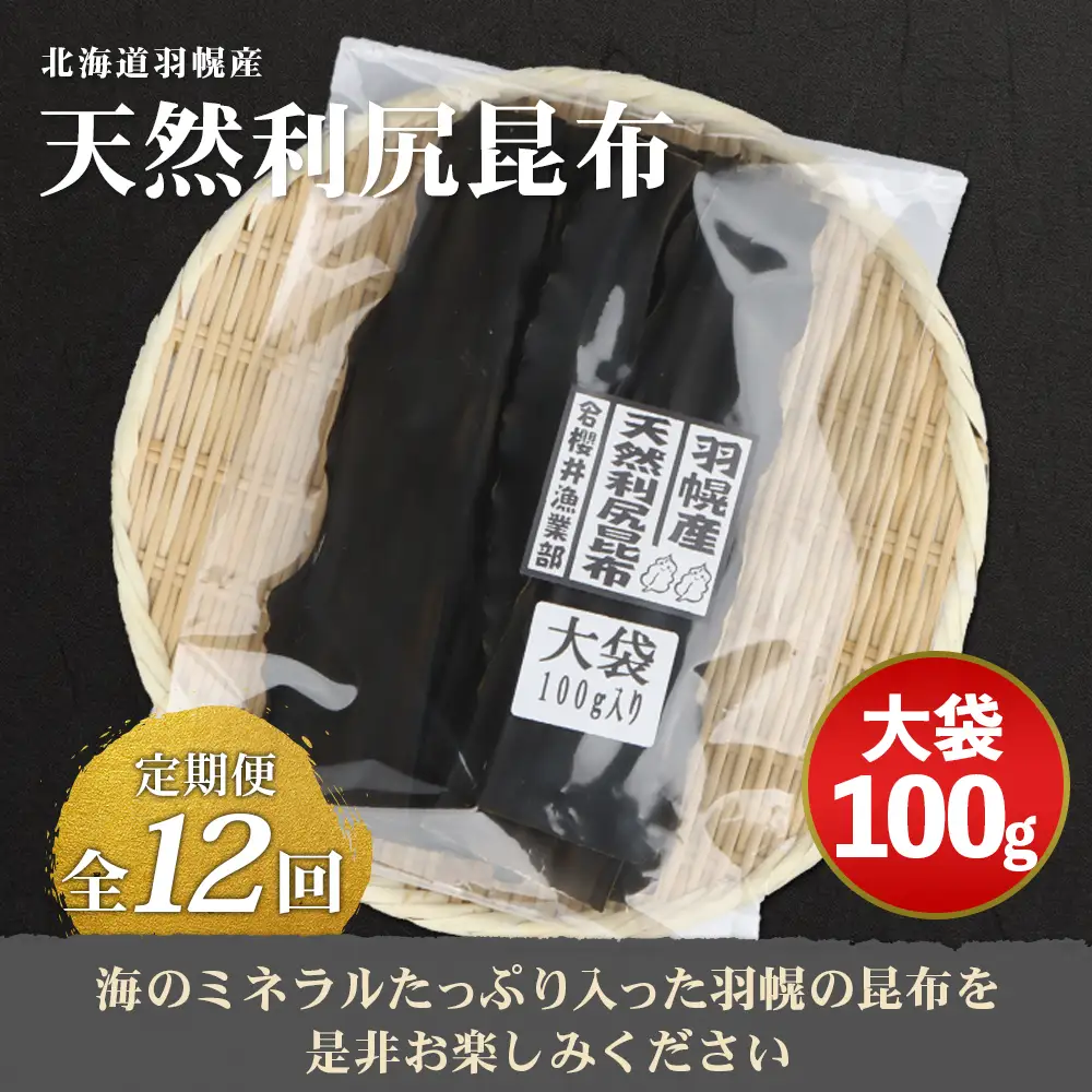 【定期便：全12回】北海道羽幌町産 天然利尻昆布（大袋）×100g【28009】