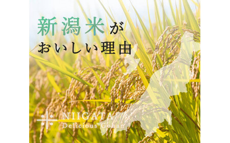 米 【3か月定期便】R7年産 新潟県産 コシヒカリ 5kg （精米） 新潟のど真ん中 見附市 こしひかり 米 お米 白米 国産 ごはん ご飯