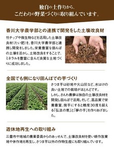 弘法の恵　生芋　家庭用　2kg