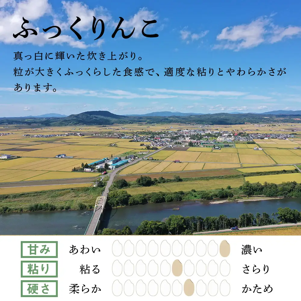 《令和7年産》北海道産ふっくりんこ 10kg(通常パック5kg×2袋)
