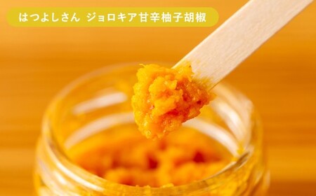 人吉球磨の達人のゆず胡椒 各1本（25g）×5種セット （はつえさん・はつよしさん赤・みちよさん・はつよしさん黄・はるこさん） 計5本  柚子胡椒 ゆず胡椒 柚子こしょう ゆずこしょう 柚子 ゆず 胡椒 こしょう 調味料 セット 熊本県 人吉市 常温