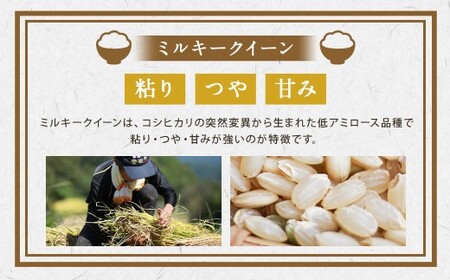 【6ヵ月定期便】さとうファームの自然栽培米（玄米5kg）ふっくら つやつや おいしい 美味しい 贈り物 単一原料米