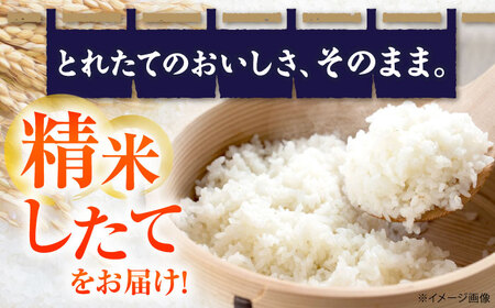 【令和8年産 新米】無洗米 コシヒカリ 5kg [AQDK003] 無洗米