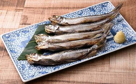 北海道産 本ししゃも使用「レンちん君」ししゃもオス・メスセット 電子レンジOK 焼き魚 冷凍惣菜 個包装 時短 おかず ギフト 北海道グルメ