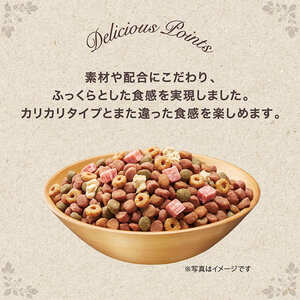ドッグフード グラン・デリふっくら仕立て ビーフ鶏ささみ ドッグフード【1.7kg×2袋】