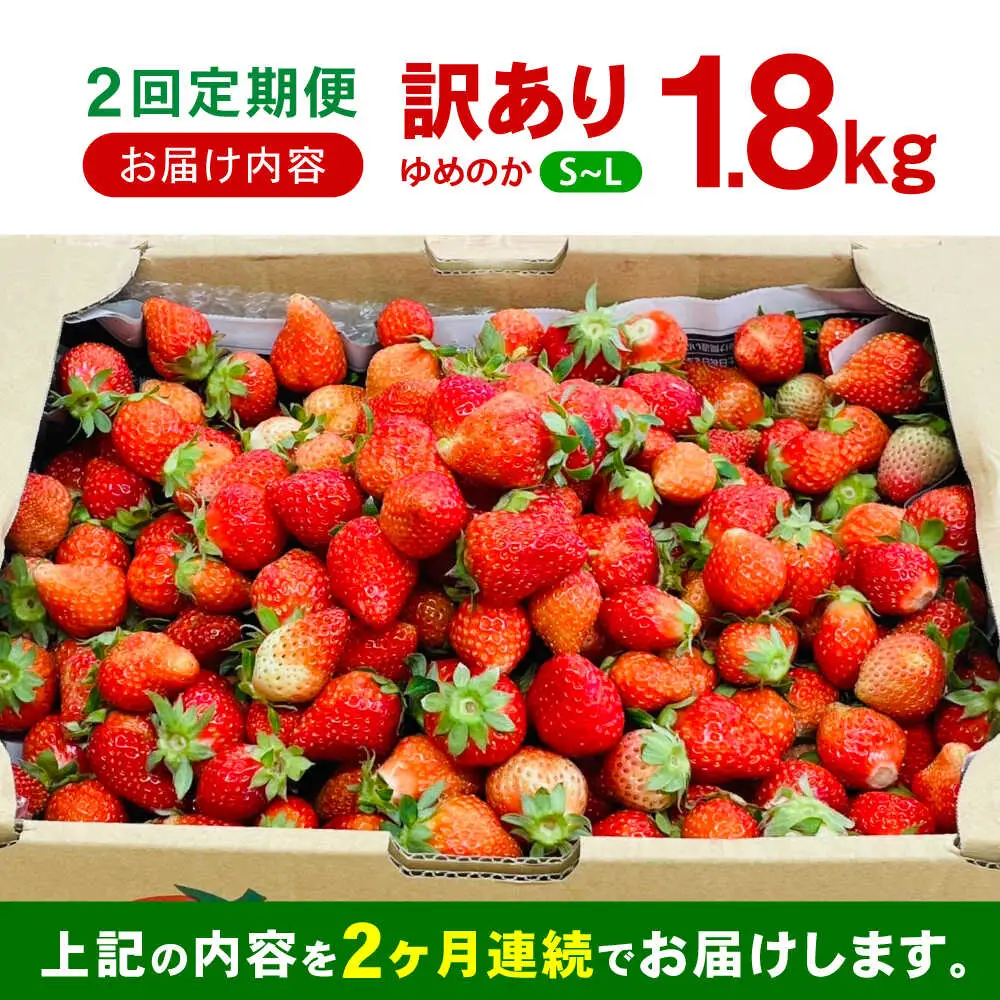 【2回定期便】※【2027年3月上旬頃より順次発送／先行予約】訳あり いちご「ゆめのか」 S-Lサイズ 1.8kg / 訳あり 訳あり商品 訳あり果物 果物訳あり いちご イチゴ 苺 イチゴジャム / 諫早市 / むらたサービス[AHFA004]