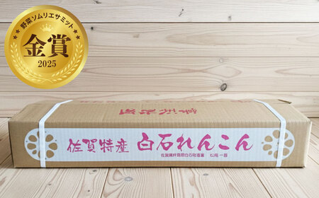 【2026年10月下旬以降順次発送】【金賞受賞！】泥付き 松尾青果のこだわり白石れんこん 約3kg / 蓮根 野菜 根菜 / 佐賀県 / 松尾青果[41ASAB002]