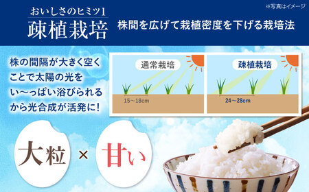 【令和7年産】【特Aランク受賞実績あり！】はるみ 20kg【なんかいファーム】 米 お米 精米 白米 はるみ 新米 令和7年産[BDBD004]