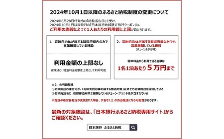 福岡県柳川市 日本旅行 地域限定旅行クーポン30,000円分（30,000円分×1枚）旅行クーポン 旅行 観光 クーポン 家族旅行 柳川市