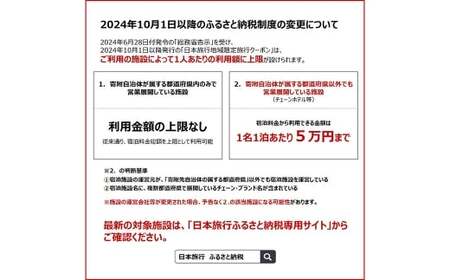 福岡県柳川市 日本旅行 地域限定旅行クーポン60,000円分（30,000円分×2枚）旅行クーポン 旅行 観光 クーポン 家族旅行 柳川市