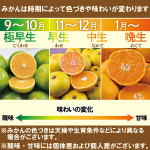 【みかん】訳あり 愛媛みかん 2kg | 愛媛県 松山市 【VEG1051】