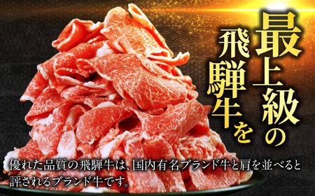 【飛騨牛】訳ありカタロース(400g) 和牛 すき焼き 肩ロース 岐阜市 / 丸福商店[ANBO054]