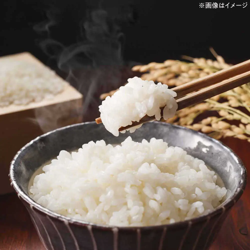 令和7年度 米 夢つくし 5kg[BGBV001] 夢つくし
