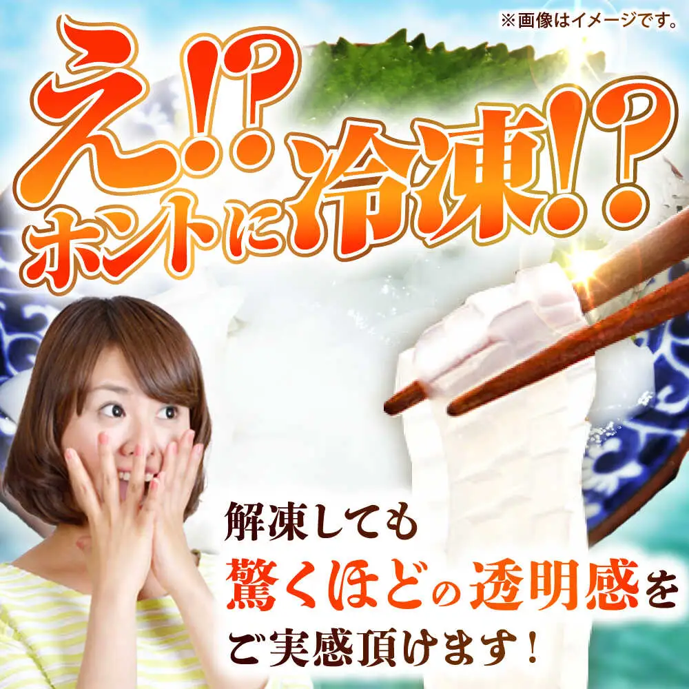 【お中元】剣先イカ 刺身用 500g [JCC024] イカ刺し