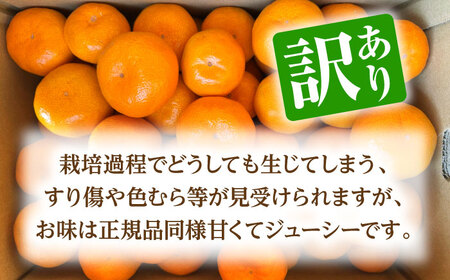 【先行予約】 訳あり 温州みかん 『白川』 約5kg S～Lサイズ 【奥村果実園】[ZFK003]