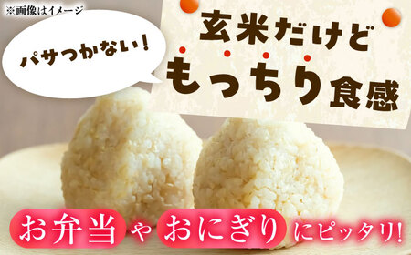 【R7年度産・玄米】長崎県佐々町産「にこまる」15kg(5kg×3袋)[QCD003]