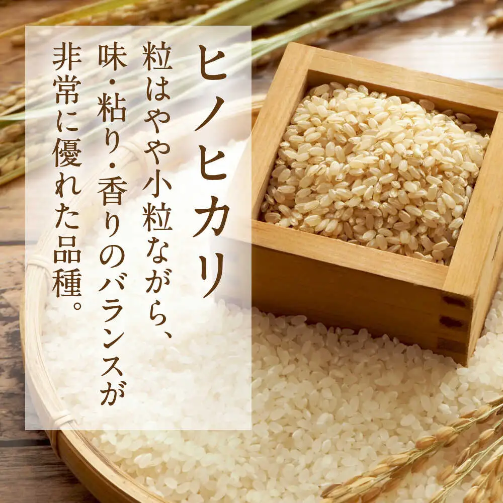  ヒノヒカリ 玄米 5kg（5kg×1袋） 【株式会社 岩下農園】[ZFS006]