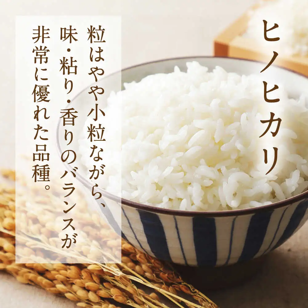  ヒノヒカリ 無洗米 6kg（2kg×3袋） 【株式会社 岩下農園】[ZFS008]