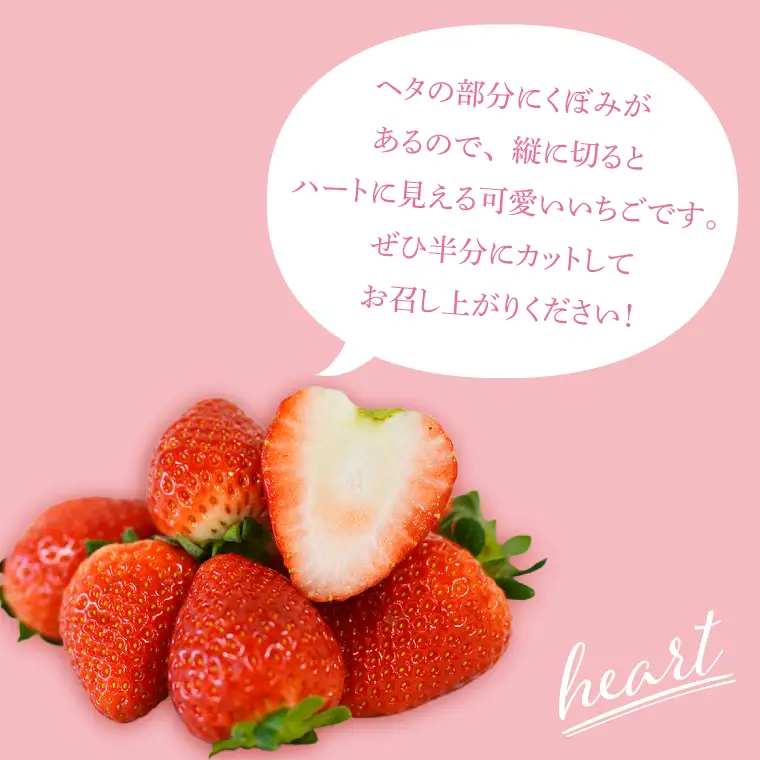 とちあいか いちご ★家庭用★ 600g 300g×2P DJ003
