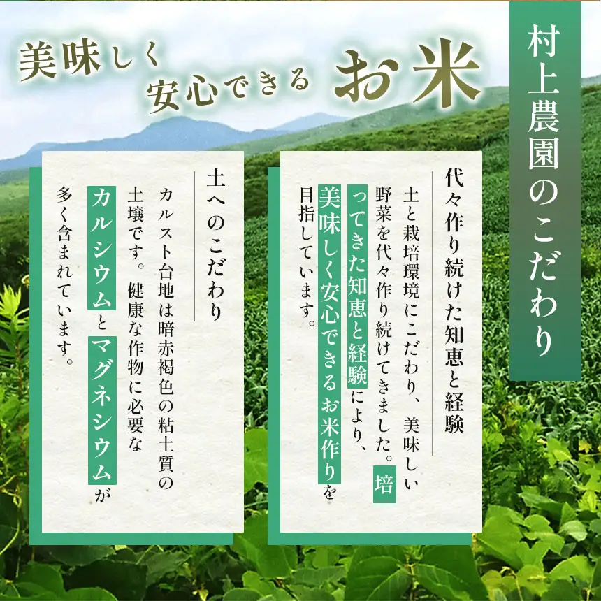 令和8年度産 新米 きぬむすめ 玄米 5kg 村上農園 先行予約 ＜ 2026年10月中旬より11月末まで順次発送 ＞