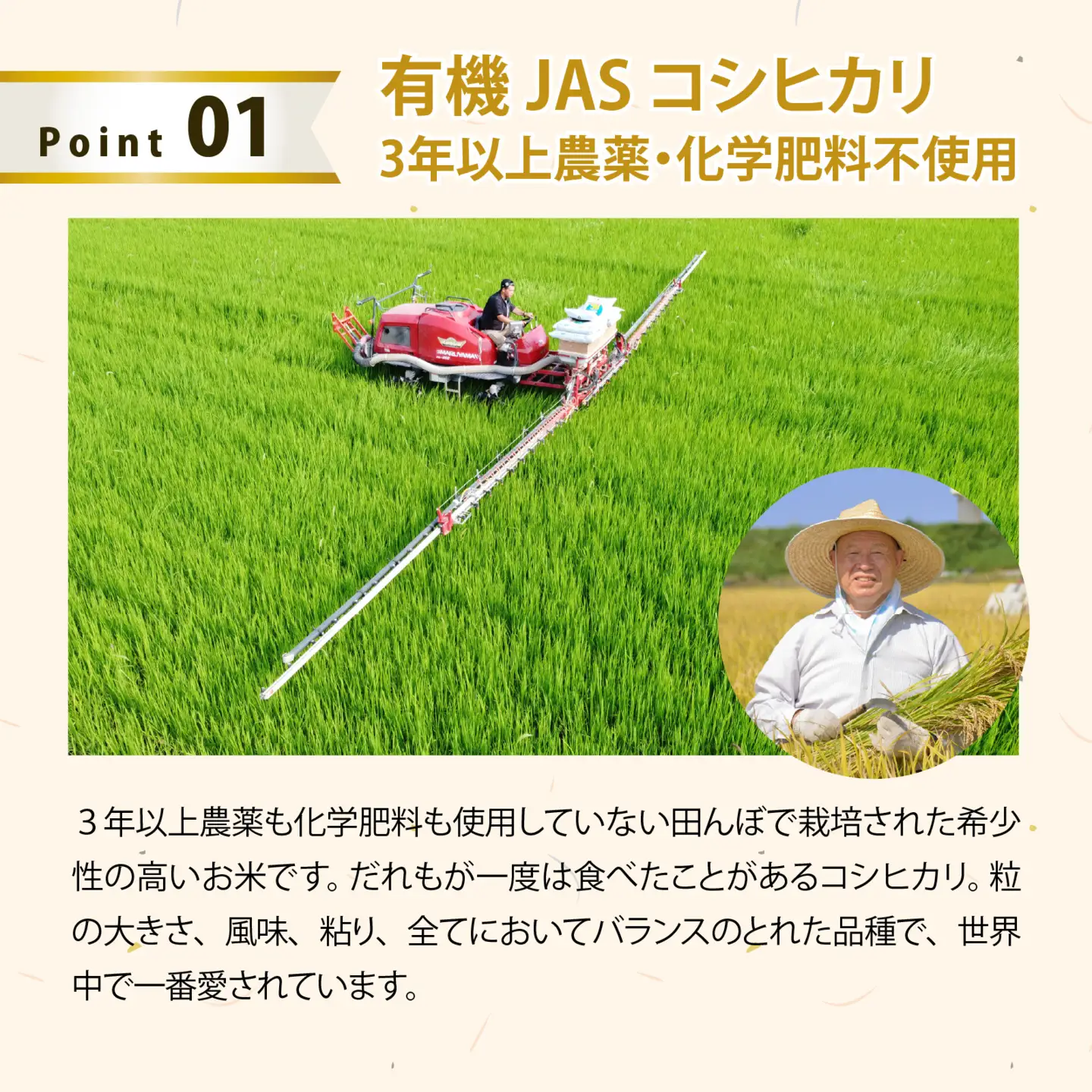 【白米】令和7年産 ふくい東郷米 有機JASコシヒカリ 6kg [C-020030_01]/ 白米 玄米 無洗米 有機適合肥料100% 真空パック もっちり 甘い 安全 米 こしひかり 国産 福井県 福井市 東郷